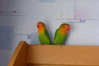 DSCF5095.JPG