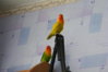 DSCF7585.JPG