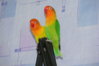 DSCF7680.JPG