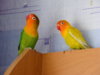 DSCF7378.JPG