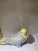 IMG-20171221-WA0030.jpg