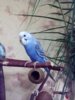 IMG_20171227_152841.jpg