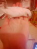 IMG_20171221_150426.jpg