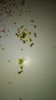 IMG-20180112-WA0019.jpeg