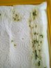 IMG_20180114_101958.jpg