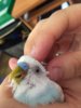 IMG-20180201-WA0007.jpg
