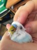 IMG-20180201-WA0006.jpg