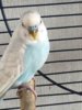 IMG-20180201-WA0009.jpg