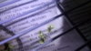 20180206_083150.jpg