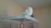 20180206_090732.jpg