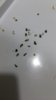 20180202_211838.jpg