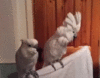 bde8fa60ce75a8c389d643e0285c8666_187945_1516860897.gif