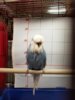 20180221_151122.jpg