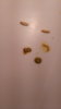 IMG-20180221-WA0039.jpeg