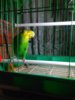 IMG_20180302_183157.jpg