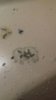 IMG-20180309-WA0004.jpg