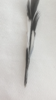 107997A5-0B86-43EC-B1D4-7FFA96C75F97.png