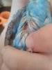 IMG_20180314_113034.jpg