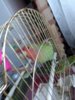 IMG_20180314_181403.jpg