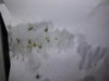 20180316_112715.jpg