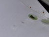 20180317_101315.jpg