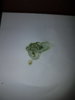 20180323_071129.jpg