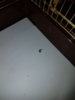 20180323_071132.jpg