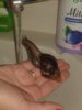 20180330_161525.jpg