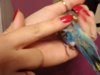 IMG_20180403_193844.jpg