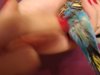 IMG_20180403_193848.jpg