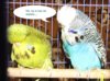 IMG_1695_cr_cr.jpg