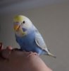 DSC_5684.JPG