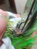 20180408_225356.jpg
