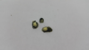 20151129_104912_001.png