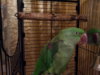 20151108_235515.jpg