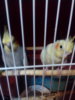 IMG_20180415_003629.jpg