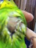 6F3EF892-94AF-4BCF-825C-036573FEA111.jpeg