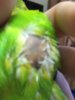 A38E1808-85CD-47D9-ACA4-A17906B3DF0F.jpeg