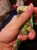 20180425_223820.jpg