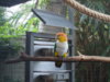 DSC01176.JPG