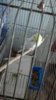 IMG-20180403-WA0014.jpeg
