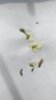 P_20180429_153450_vHDR_On.jpg