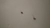 P_20180430_132126_vHDR_On.jpg