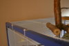 DSC_1049.JPG