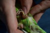 DSC_0723.JPG