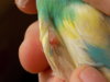 DSCN4960.JPG