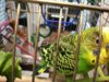 IMG_20180504_090847.jpg