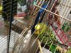 IMG_20180504_090944.jpg