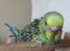 IMG_2391.JPG