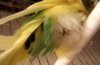 _20180523_230152.JPG
